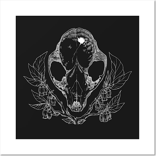 Coon Skull Noir Wall Art by aiiishin